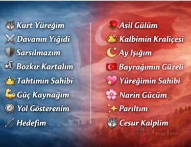 ülkücü sevgiliyi rehbere kaydetme isimleri